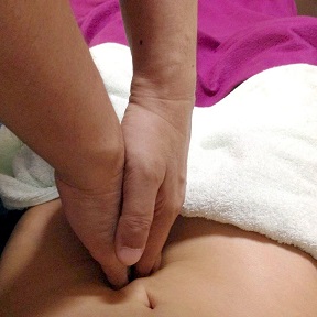 チネイザンプロジェクト:愛知